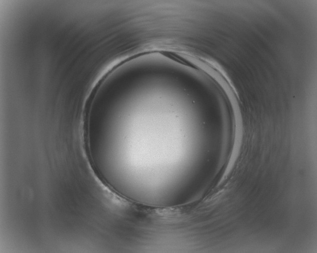 X0000067331147200603311053