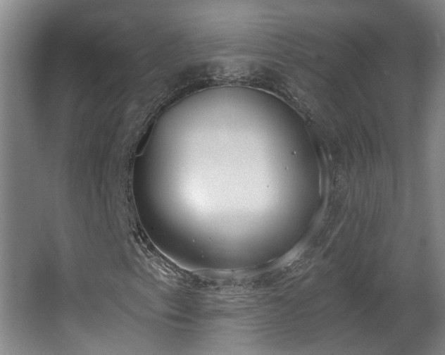 X0000067331153200603311053