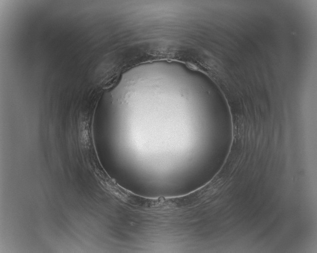 X0000067331154200603311053