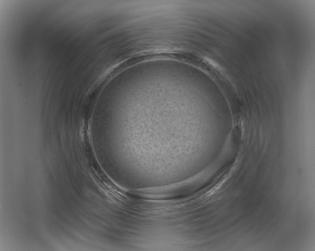 X0000067331161200603311052
