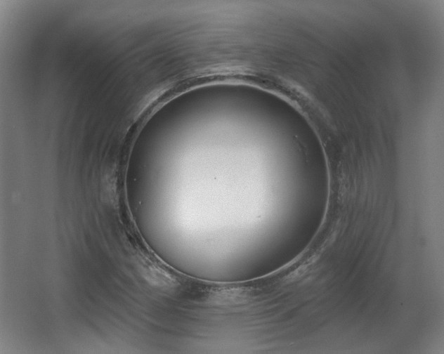 X0000067331162200603311052