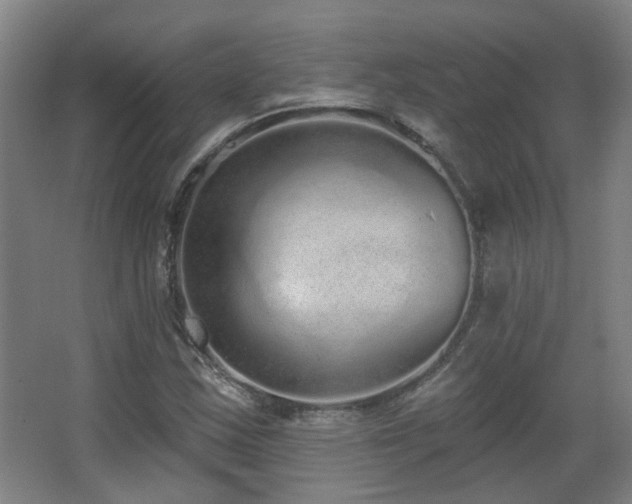 X0000067331163200603311052