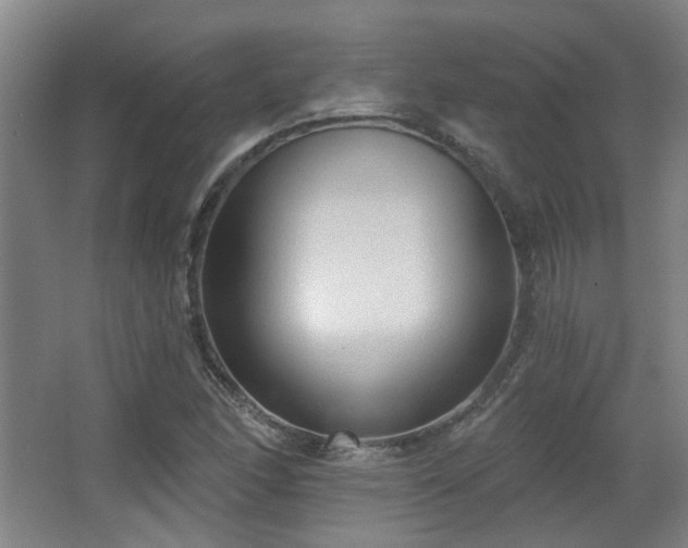 X0000067331166200603311052