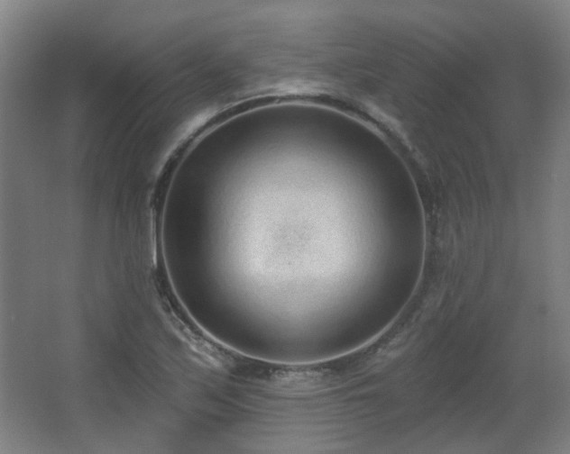 X0000067331171200603311052