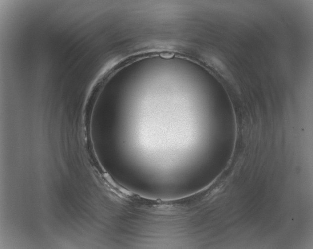 X0000067331172200603311052