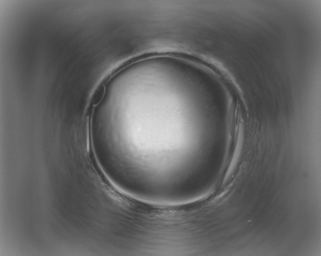 X0000067331175200603311052
