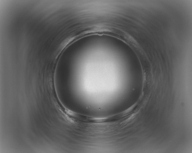 X0000067331177200603311052