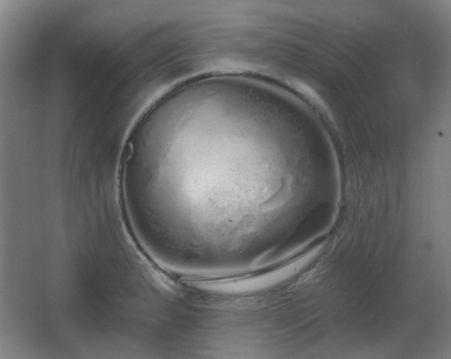 X0000067331183200603311052