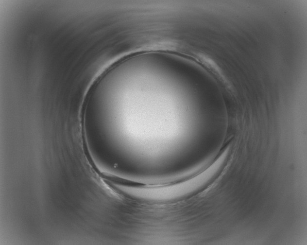 X0000067331184200603311052