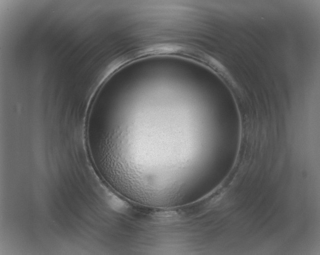 X0000067331186200603311052
