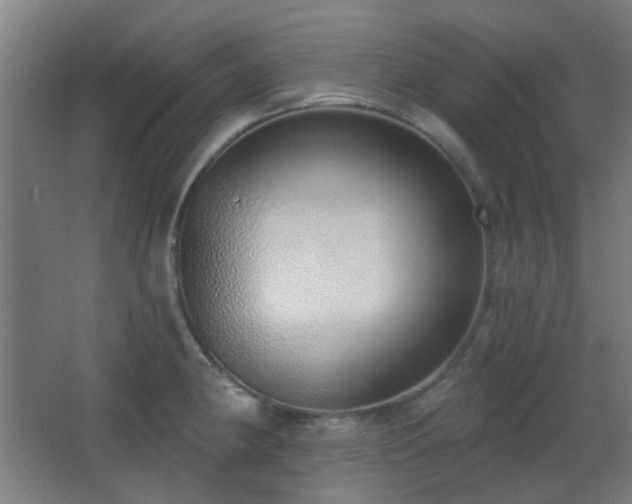 X0000067331190200603311052