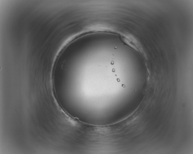 X0000067331191200603311052