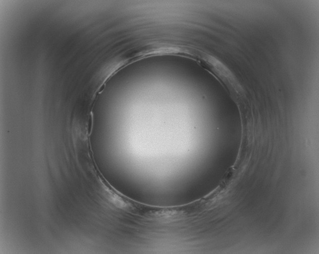 X0000067331193200603311052