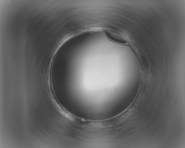 X0000067331194200603311052