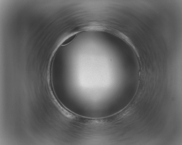 X0000067331195200603311052
