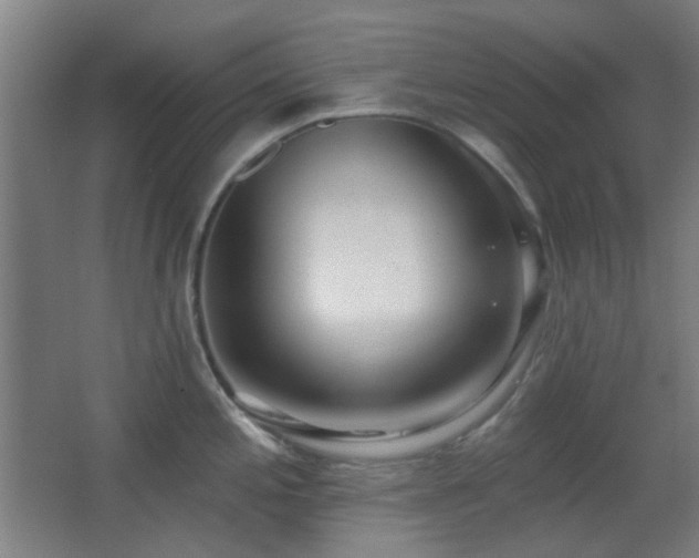 X0000067331197200603311052