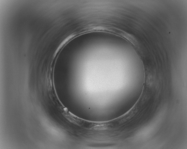 X0000067331198200603311052