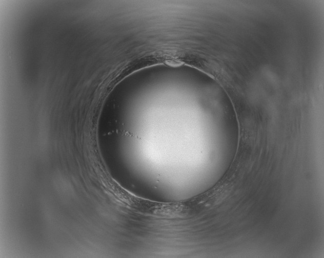 X0000067331201200603311051