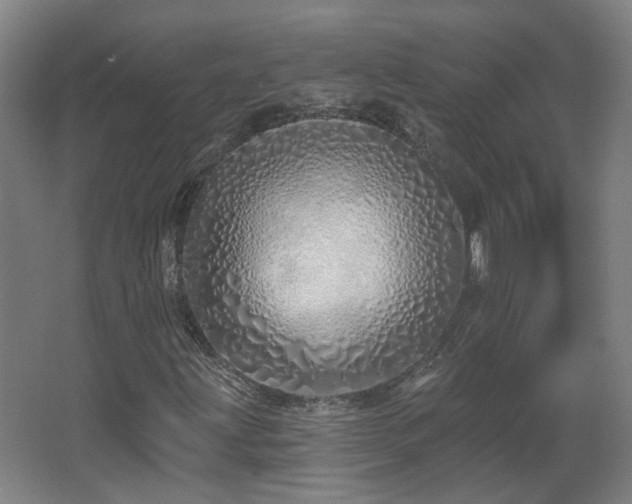 X0000067331203200603311051