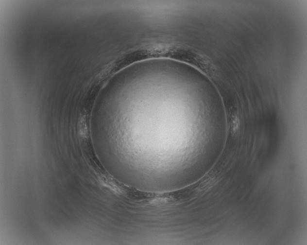 X0000067331204200603311051