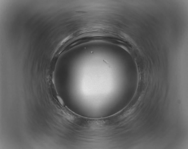 X0000067331210200603311051