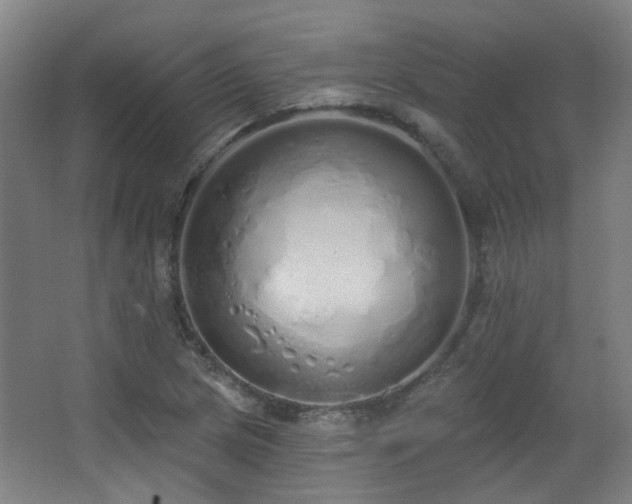 X0000067331217200603311051