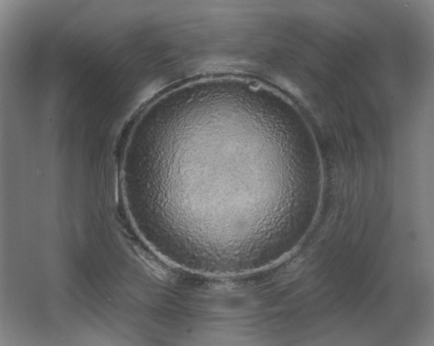 X0000067331219200603311051