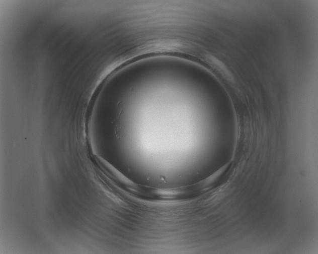 X0000067331226200603311051
