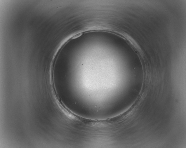 X0000067331246200603311052