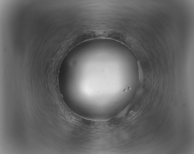 X0000067331249200603311051