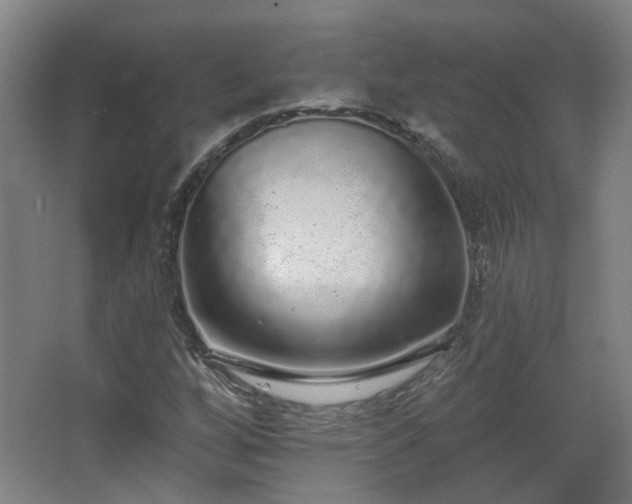 X0000067331256200603311051