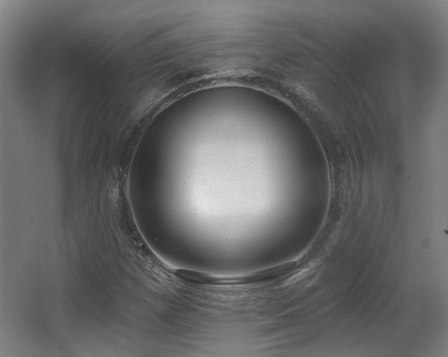 X0000067331257200603311051