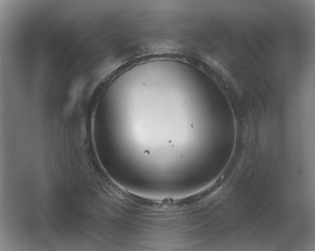 X0000067331261200603311051
