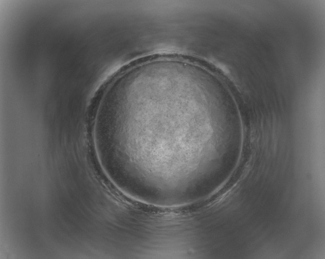 X0000067331263200603311051