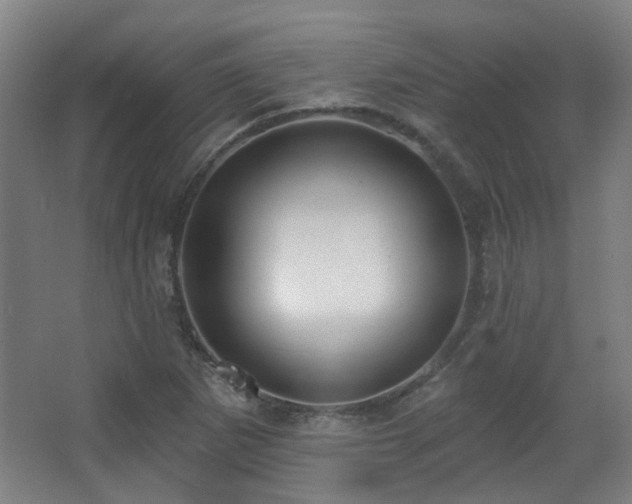 X0000067331265200603311051