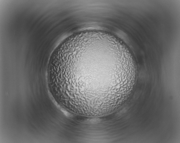 X0000067331282200603311050