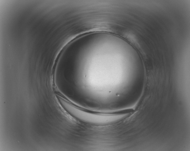 X0000067331284200603311050