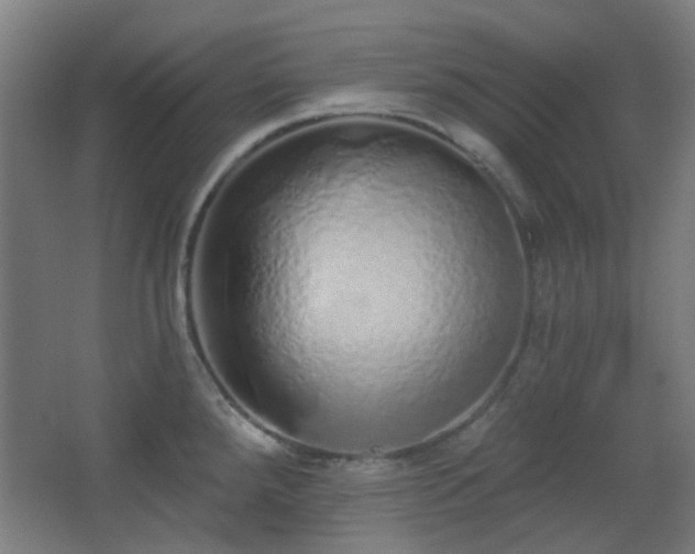 X0000067331288200603311050