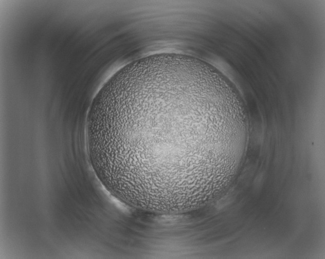 X0000067331290200603311050