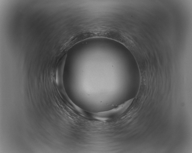 X0000067331298200603311049
