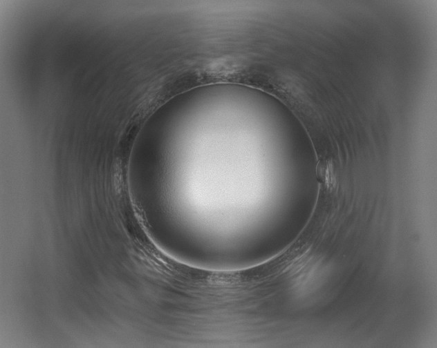 X0000067331299200603311049