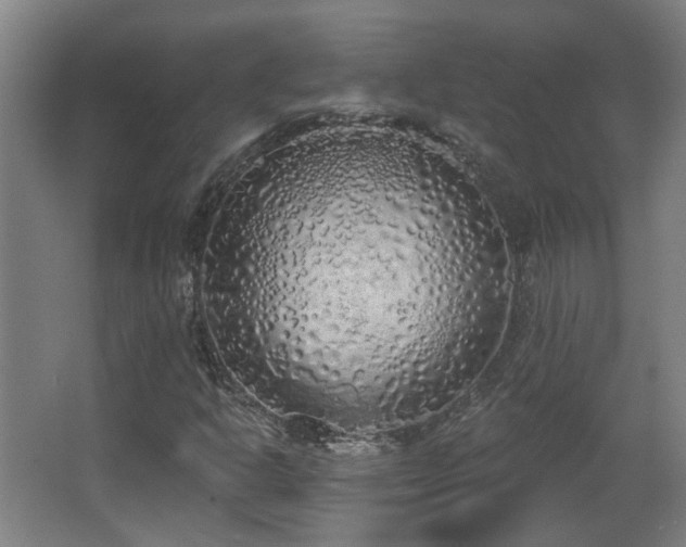 X0000067331302200603311049