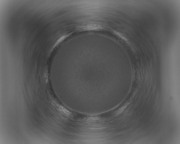 X0000067331306200603311049