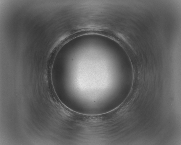 X0000067331307200603311049