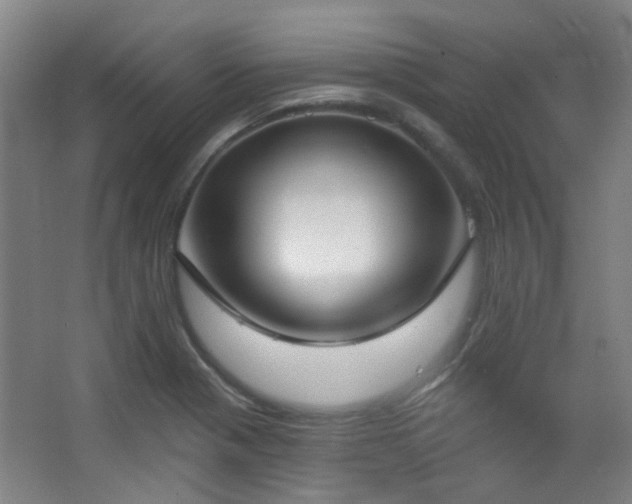 X0000067331321200603311050