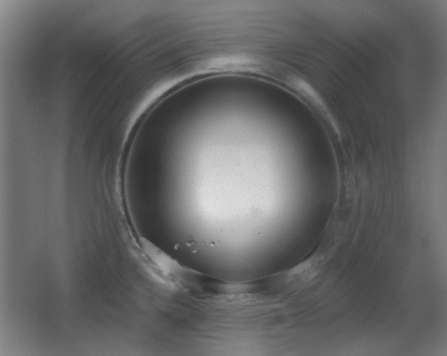 X0000067331336200603311050