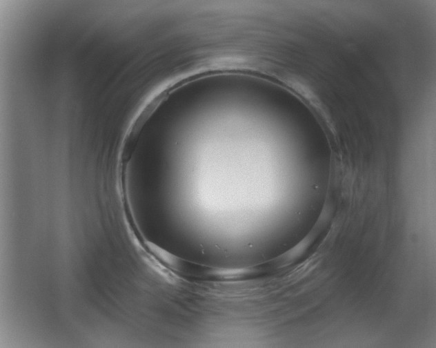 X0000067331342200603311050