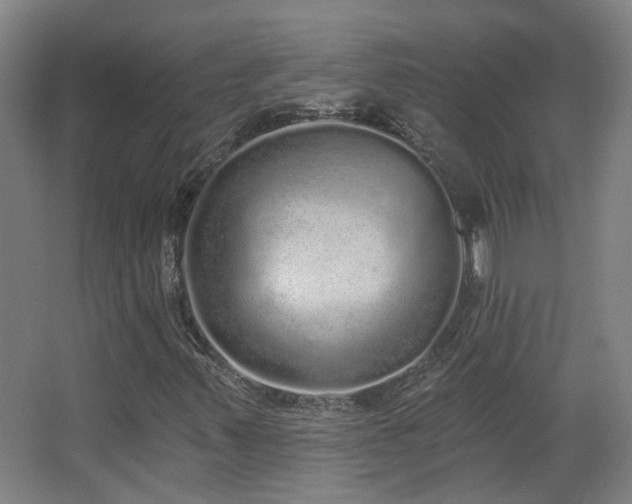 X0000067331347200603311049