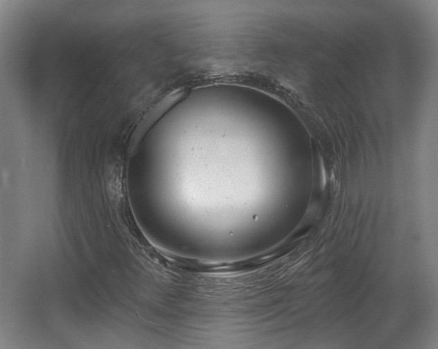 X0000067331348200603311049