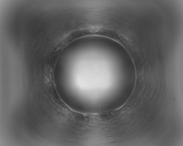 X0000067331349200603311049